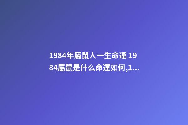 1984年屬鼠人一生命運 1984屬鼠是什么命運如何,1984年生人屬鼠是什么命-第1張-觀點-玄機派